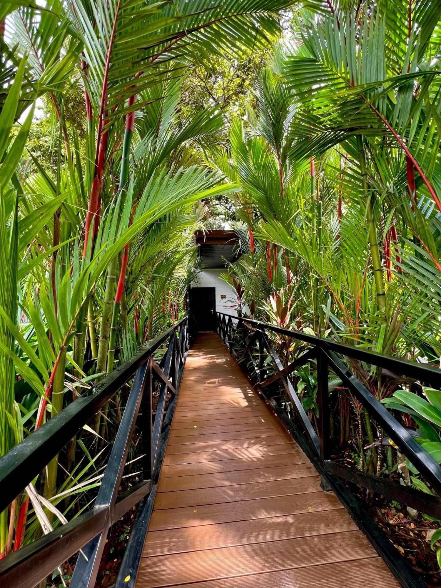 Hotel Boutique Casa Del Rio La Fortuna Екстериор снимка
